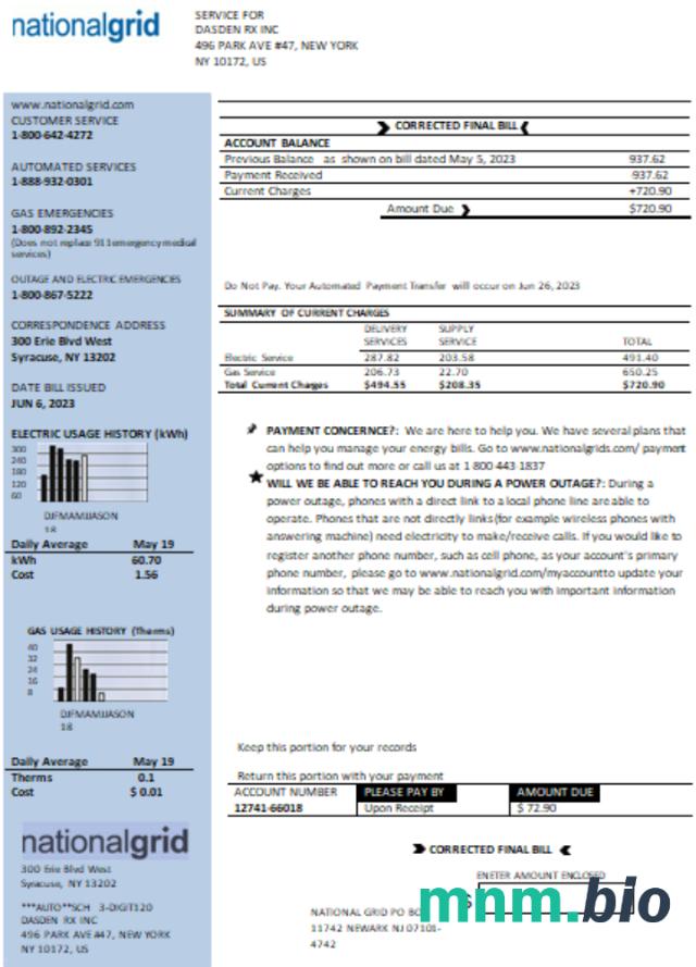 New York National Grid rachunek za usługi komunalne, Word i szablon PDF